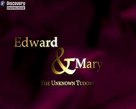 EdwardandMary:TheUnknownTudors